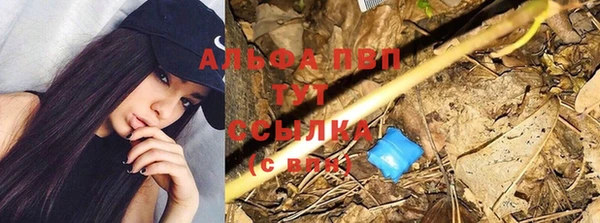 дживик Абинск