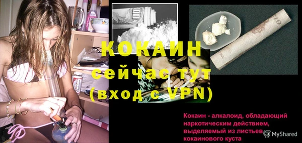 дживик Абинск