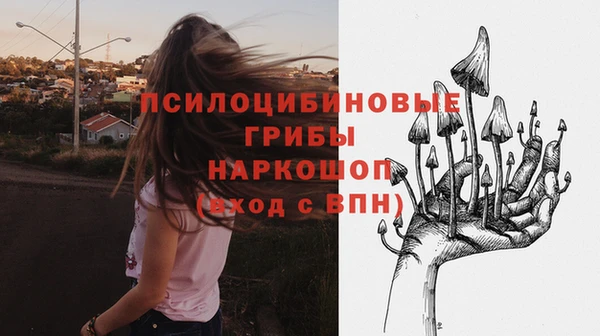 дживик Абинск
