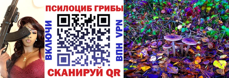 магазин  наркотиков  Никольское  Галлюциногенные грибы Psilocybe 